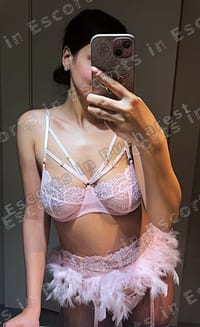 Meli, escort in Bucharest, Floreasca (3/5)